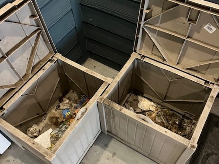 Picture of two really dirty trash containers.